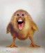 animal36.jpg